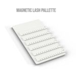 magnetic lash palette